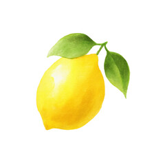 Watercolor lemon with green leaves on black background, cut out