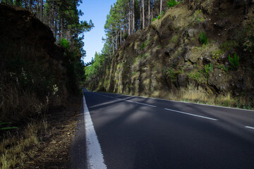 Mountain road cutting through tall pine trees and rocky cliffs under a clear blue sky. Peaceful scenic travel route.