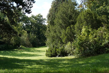 Obraz premium Naturlandschaft von Park Sanssouci im Frühherbst