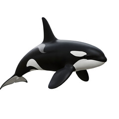 Obraz premium dolphin black and white dolphin,PNG