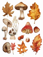 Autumn clipart with yellowed leaves, mushrooms and gifts of autumn.