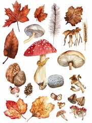 Autumn clipart with yellowed leaves, mushrooms and gifts of autumn.