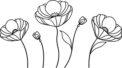 Vector art of a delicate line art illustration of poppies in bloom, isolated on a, showcasing their elegant petals and stems