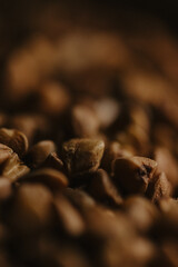 Buckwheat groats texture, Cooked buckwheat porridge