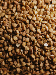 Buckwheat groats texture, Cooked buckwheat porridge