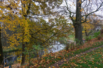 November, autumn, bank of Drawa River. Złocieniec, Poland.