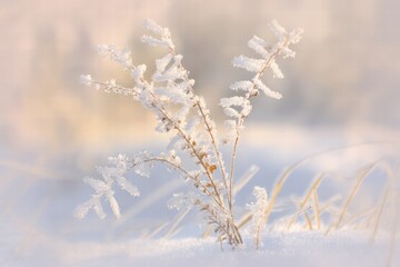 Icy snow abstract background with soft winter textures and frost glow