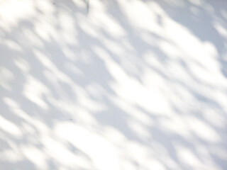 Soft dappled sunlight shadow pattern on white wall background