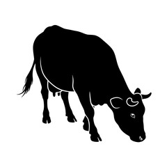 Silhouette of a cow grazing in a field evokes rural livestock farming scenes silhouette