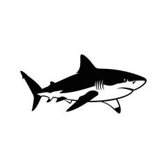 Striking silhouette of a great white shark emerging from water elements silhouette