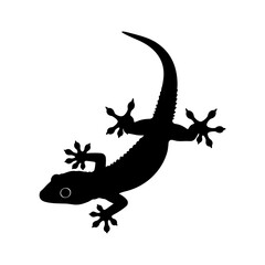 Silhouette of a gecko lizard in a square frame reptile wildlife art silhouette