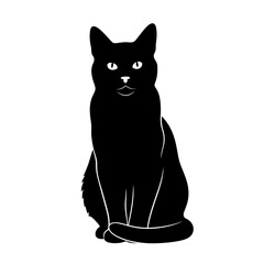 Elegant black cat sitting gracefully in a square frame on a contrasting backdrop silhouette