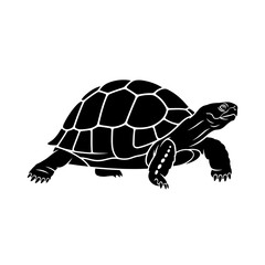Detailed silhouette of a tortoise in motion symbolizing patience and longevity silhouette