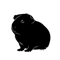 Adorable black small fluffy animal sitting isolated on silhouette