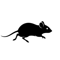 Detailed silhouette of a small rodent in a dynamic pose isolated on a white square frame silhouette