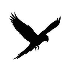 Silhouette of a bird in flight within a square frame on a solid surface silhouette