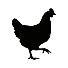 Simple silhouette of a chicken in a square frame ideal for graphic design silhouette