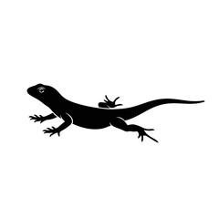 Silhouette of a gecko in motion against a bright square backdrop silhouette
