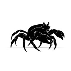 Intricate black silhouette of a spider detailed artistic insect graphic art silhouette