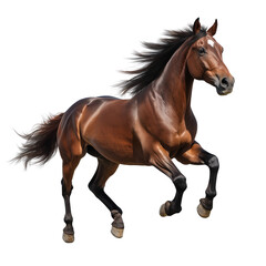 Brown Horse in Motion Isolated on Transparent Background, Running Brown Horse Clipart, Galloping Brown Horse on Transparent Background