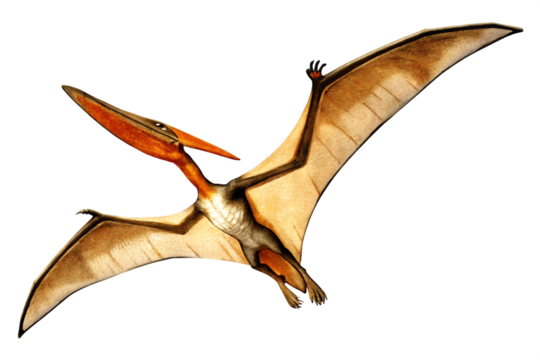 Pterodactyl Flying With Wings Spread Against Background dinosaur prehistoric isolated on a transparent background