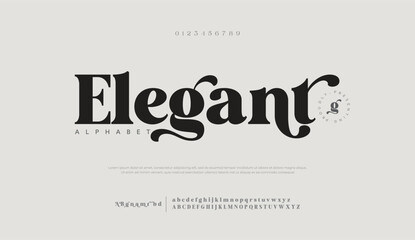 Elegant awesome alphabet letters font and number. unique serif font. Classic Lettering Minimal Fashion Designs. Typography fonts regular uppercase and lowercase. vector illustration