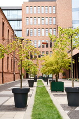 landscaping of the inner territory of urban development