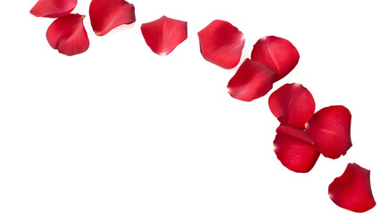 Red Rose Petals Cascading Down on Background red petals scattered isolated on a transparent background