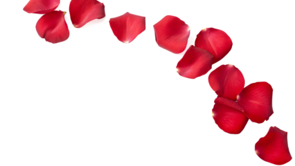 Red Rose Petals Cascading Down on Background red petals scattered isolated on a transparent background
