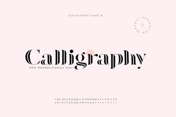 Calligraphy Luxury wedding alphabet letters font. Typography elegant classic lettering serif fonts and number decorative vintage retro concept for logo branding. vector illustration

