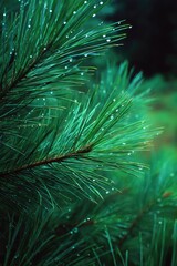 Fototapeta premium Decorative pine branch with droplets