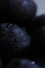 Fresh plums with water drops, organic fruit, healthy food