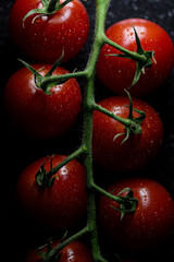 Fresh tomatoes with water drops, organic vegetable, healthy food