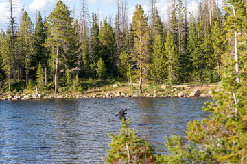 Obraz premium Landscapes near Mirror Lake in the Utah Uinta Mountains
