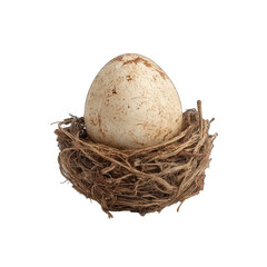 Obraz premium Single egg nestled in a rustic bird's nest