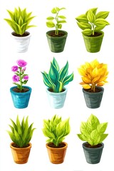 Fototapeta premium Colorful Flower Pots