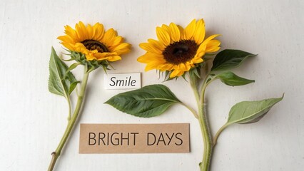 Cheerful Sunflowers with Inspiring Text for Bright Days Concept