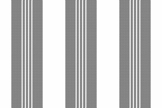 Tk texture vertical background, abstraction lines pattern stripe. Apg fabric vector textile seamless in white and black colors.