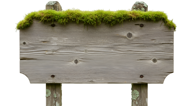 Rustic Wooden Sign with Moss and Lichen