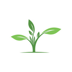 Stylized tree leaf with vibrant color accents and clean lines