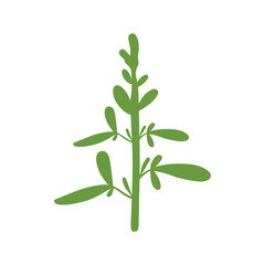 Stylized moringa leaves icon, perfect for health, wellness, and organic product designs. Features vibrant green foliage.