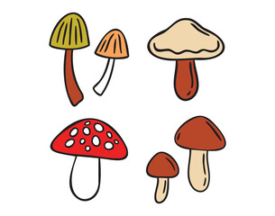 Cozy autumn doodle mushrooms different types, hand drawn warm rustic style