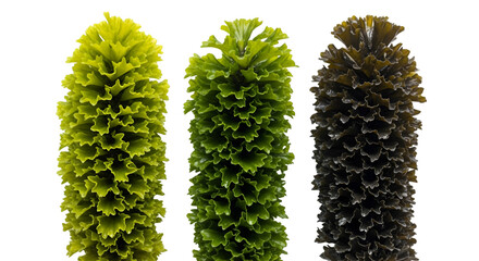 Three Textured Candles in Varying Shades of Green and Brown