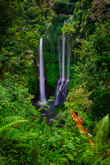 Stunning view of Sekumpul waterfall surrounded by lush jungle, Bali, Indonesia