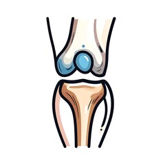 Cartoon illustration of a knee joint