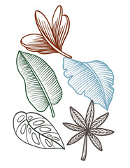 vector illustration of a flower