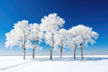 Snowy trees under a bright blue sky.