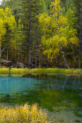Fototapeta premium Geyser lake in Altai, surrounded by lush green trees. The clear turquoise water reflects the bright autumn colors of the forest.