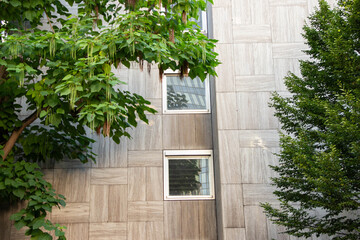 Modern building facade with wooden texture, framed windows, and lush greenery, showcasing a...