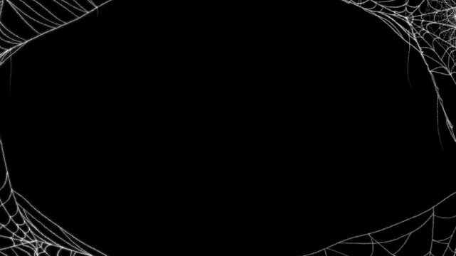 Cobweb Border Overlay looping on transparent backgrounds